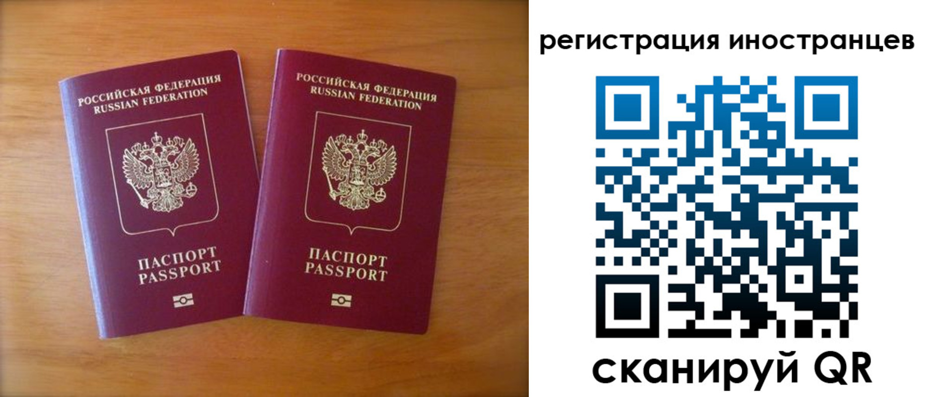 прописка поиск в Невеле